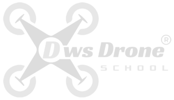 DWS Drone School